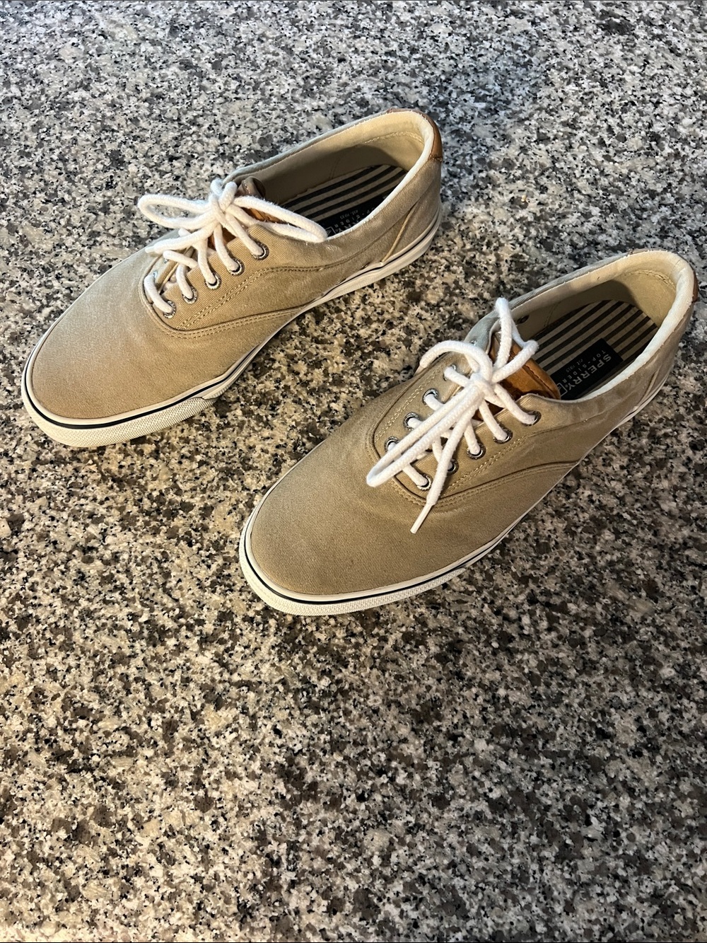Sperry Taupe Canvas Low-Top Lace-Up Sneakers